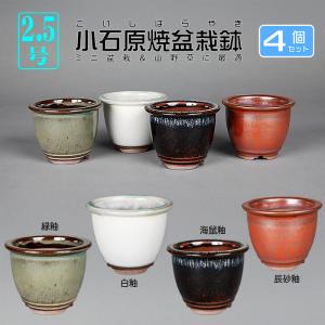 盆栽鉢 「行山紐づくり楕円鉢鉢」植木鉢 常滑 9号 28cm 手造り 釘彫