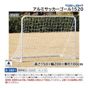EVERNEW（エバニュー） サッカーゴールオールアルミ No．11 亀甲ネット