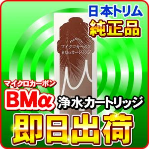 2本セット】三和 還元粋RWシリーズ用[PFAS12,000L/80％除去]PREMIUM