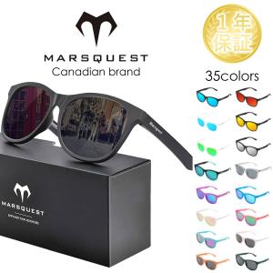 ARAYA 「アラヤ」 GOLD WORLD CHAMPION 36H チューブラー リム