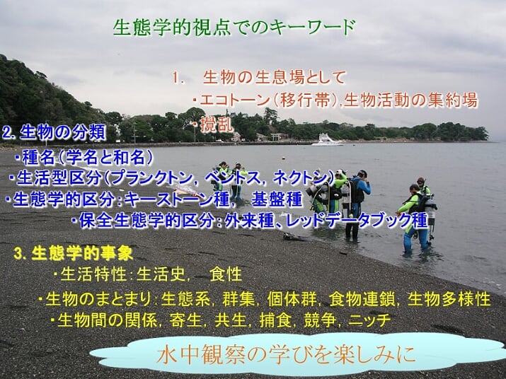 開催報告】JCUE オンライン 生態学ってオモシロイ!!