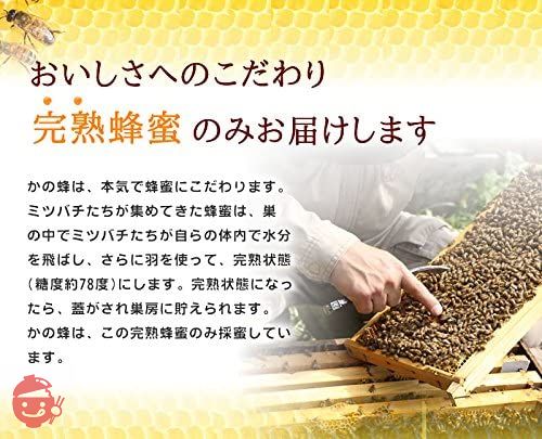 Honey Specialty Store [Kano Bee] Domestic Mandarin Orange Honey