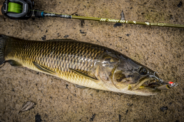 JetSlow×TULALA JetSetter 60C Micro Touch「冒険用品」