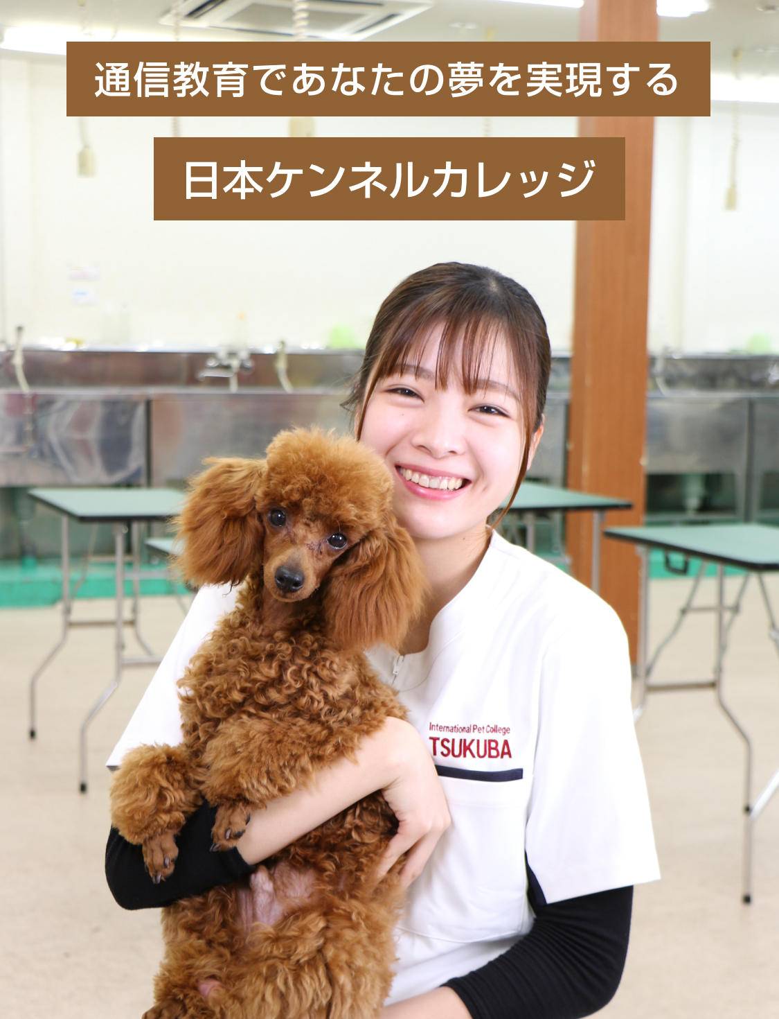 ペット専門通信資格の【日本ケンネルカレッジ】