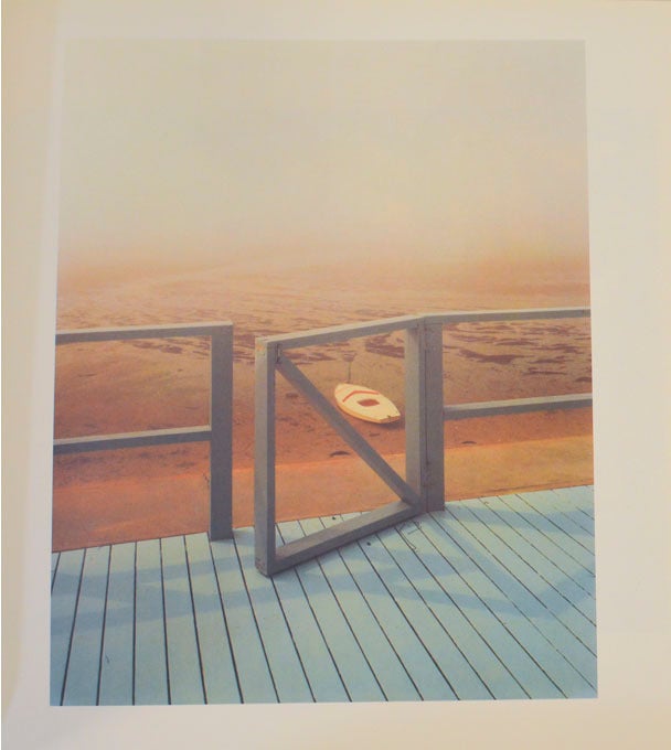 A Summer's Day Signed First Edition | Joel MEYEROWITZ