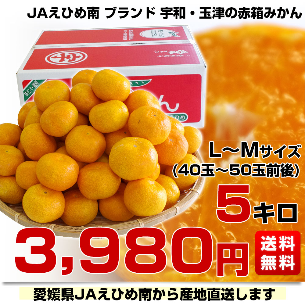 愛媛県より産地直送 JAえひめ南 玉津共選場 玉津の赤箱みかん LからM