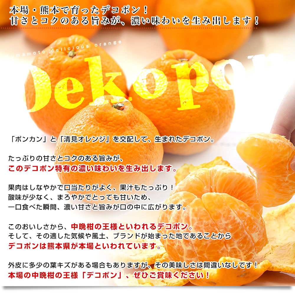 熊本県産 JA熊本果実連 デコポン 優品 2.5キロ 4Lから2Lサイズ (7玉