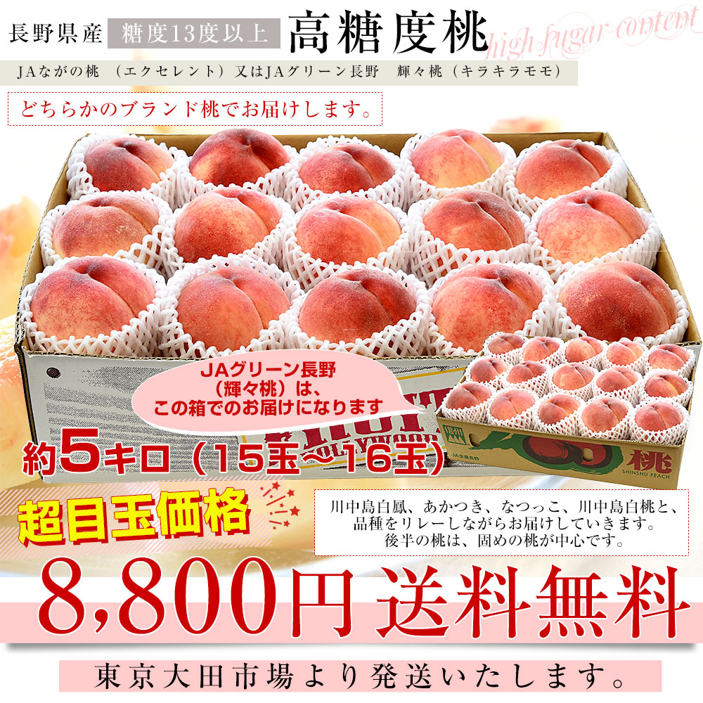 長野県 高糖度桃 約5キロ（15玉から16玉）※JAながの（エクセレント