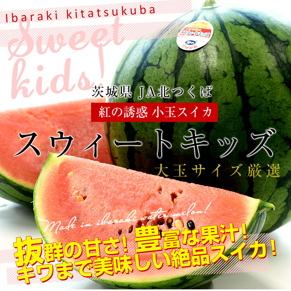 茨城県 JA北つくば 紅の誘惑 小玉スイカ 「スウィートキッズ」 良品