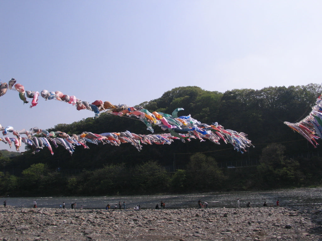 専門店が自信をもってお勧めする鯉のぼりセット。積美スターゴールド