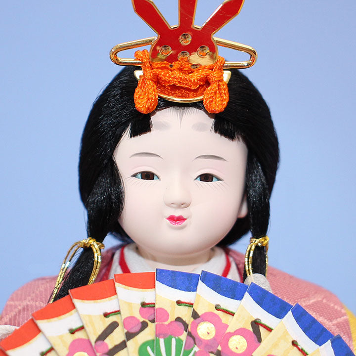 雛人形 ケース飾り 二人 幅50cm｜アクリル半円パノラマ 豆親王 まりな