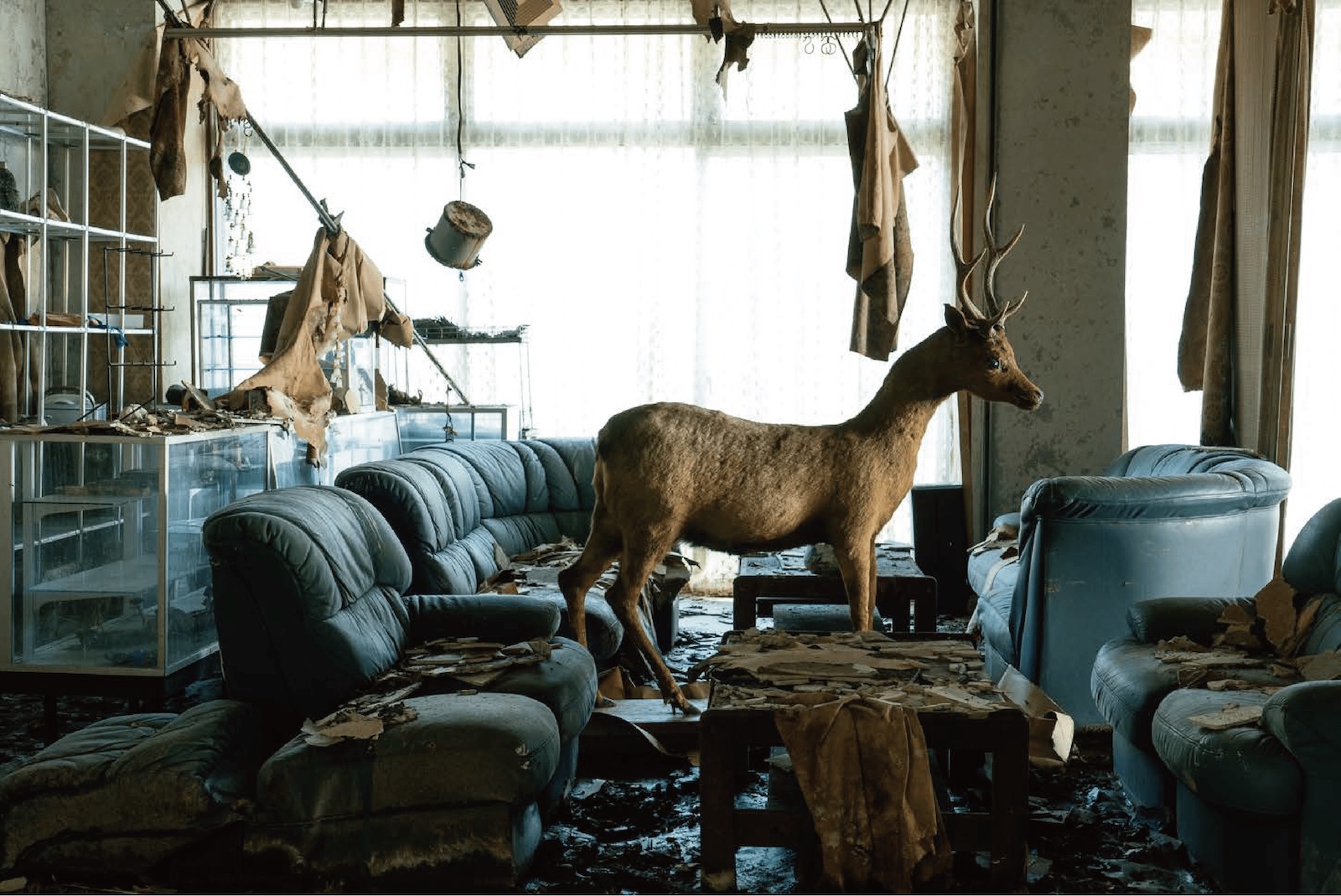 冨安由真展 | 漂泊する幻影 | Yuma Tomiyasu | Shadows of Wandering