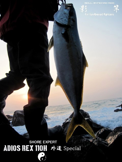 ADIOS REX 110H J-spec 外道Special 影竿