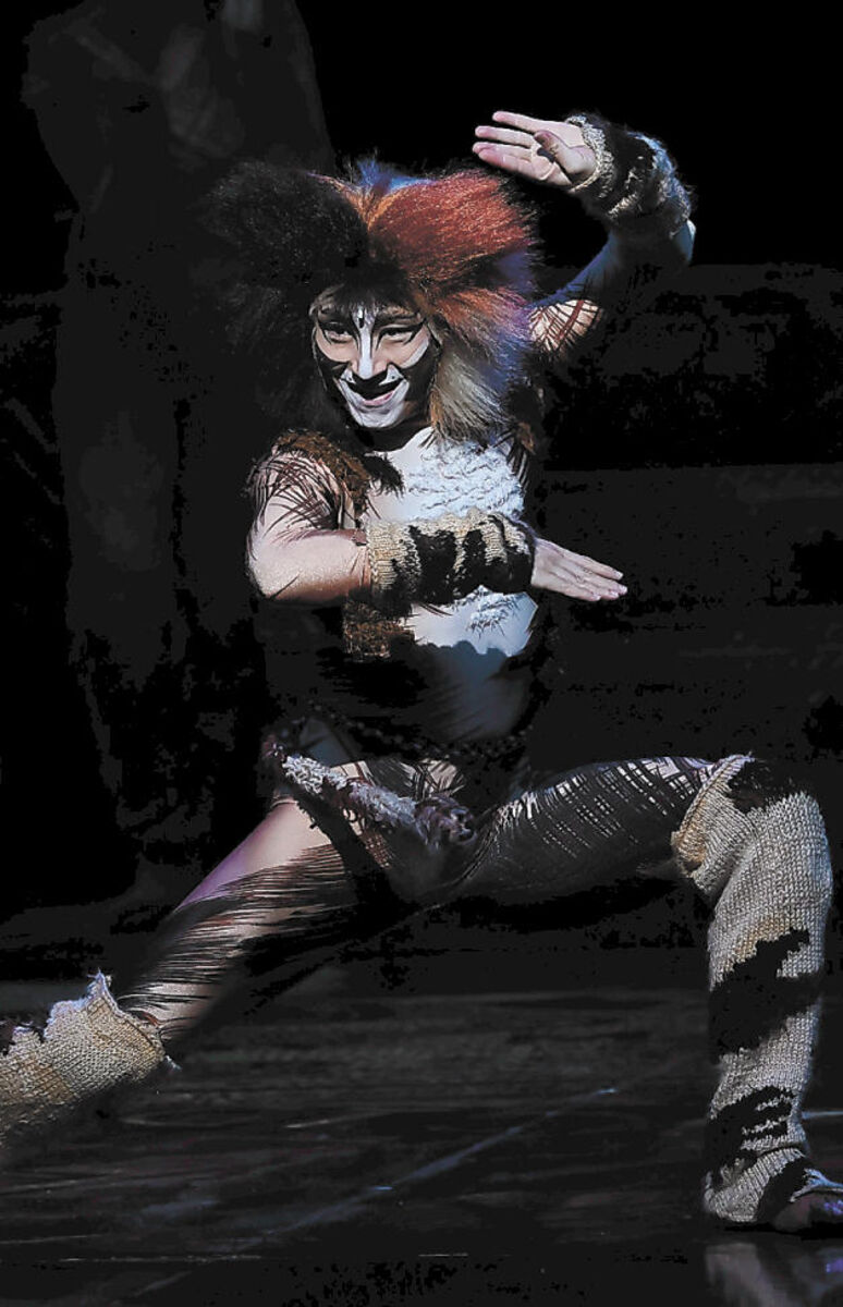 宿敵を追い詰める隊長＜劇団四季「キャッツ」27匹の素顔（8）＞ | 河北