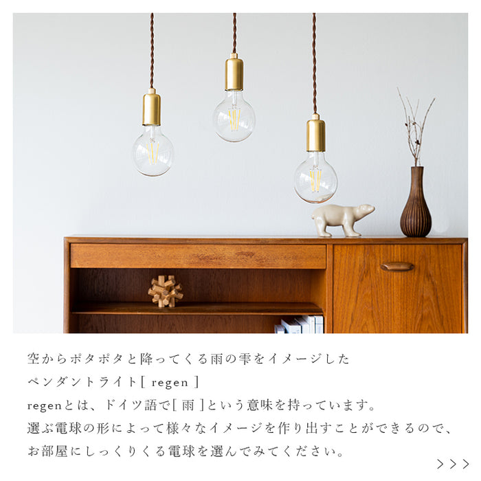 ペンダントライト 1灯 regen レーゲン schon シェーン【ダクトレール用