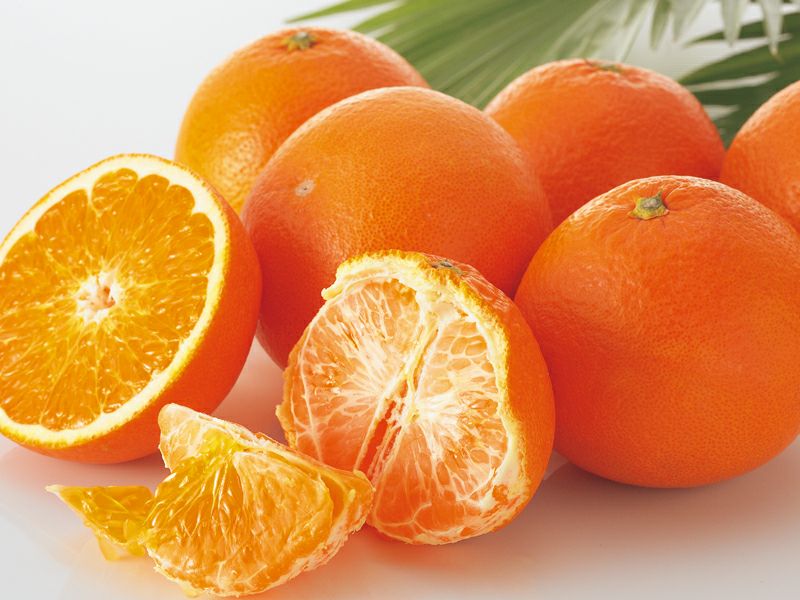 西之香 約5kg | のま果樹園