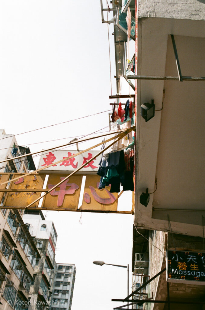 violet diary | 川島小鳥 KOTORI KAWASHIMA