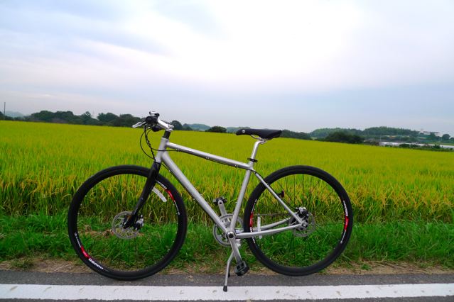 GIANT ESCAPE i R8 を買いました | 雑記 | kazumich.log