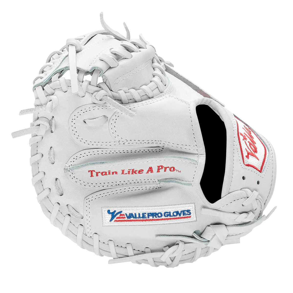 Valle Training Gloves Eagle Pro 27 – KGS Baseball®