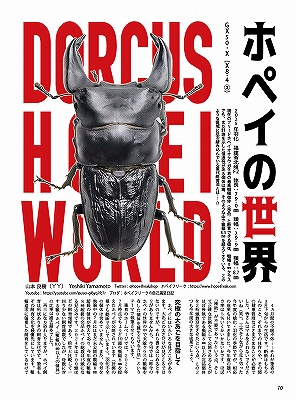 ビークワ97号（BE・KUWA） 2025年クワガタ飼育レコードコンテスト!!