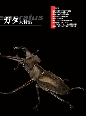 ビークワ47号（BE・KUWA） 日本のミヤマクワガタ大特集