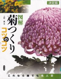 キク栽培の本| 菊の花百貨