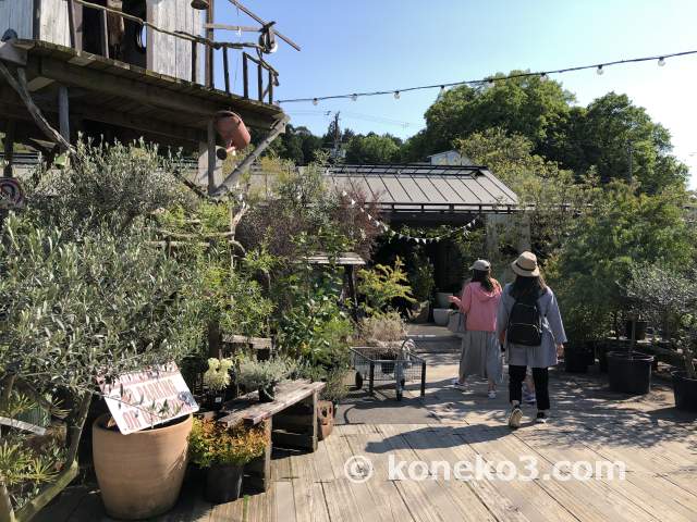 絶対に行きたい園芸店！ ザ・ファーム・ユニバーサル・大阪