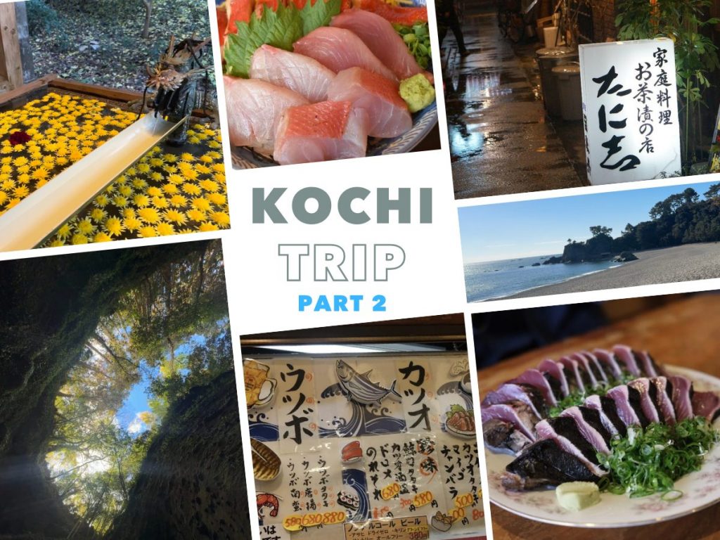 First-Time Kochi, Japan Travel Experience! A 4-Day, 3-Night Food