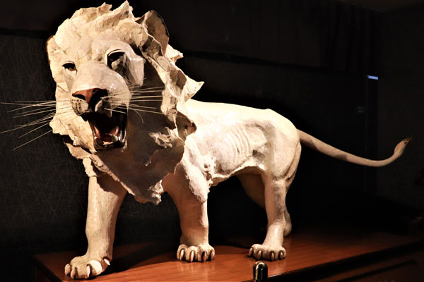 高知の海と人が育てるジュエリー！豪快で繊細な宝石珊瑚の魅力を伝える