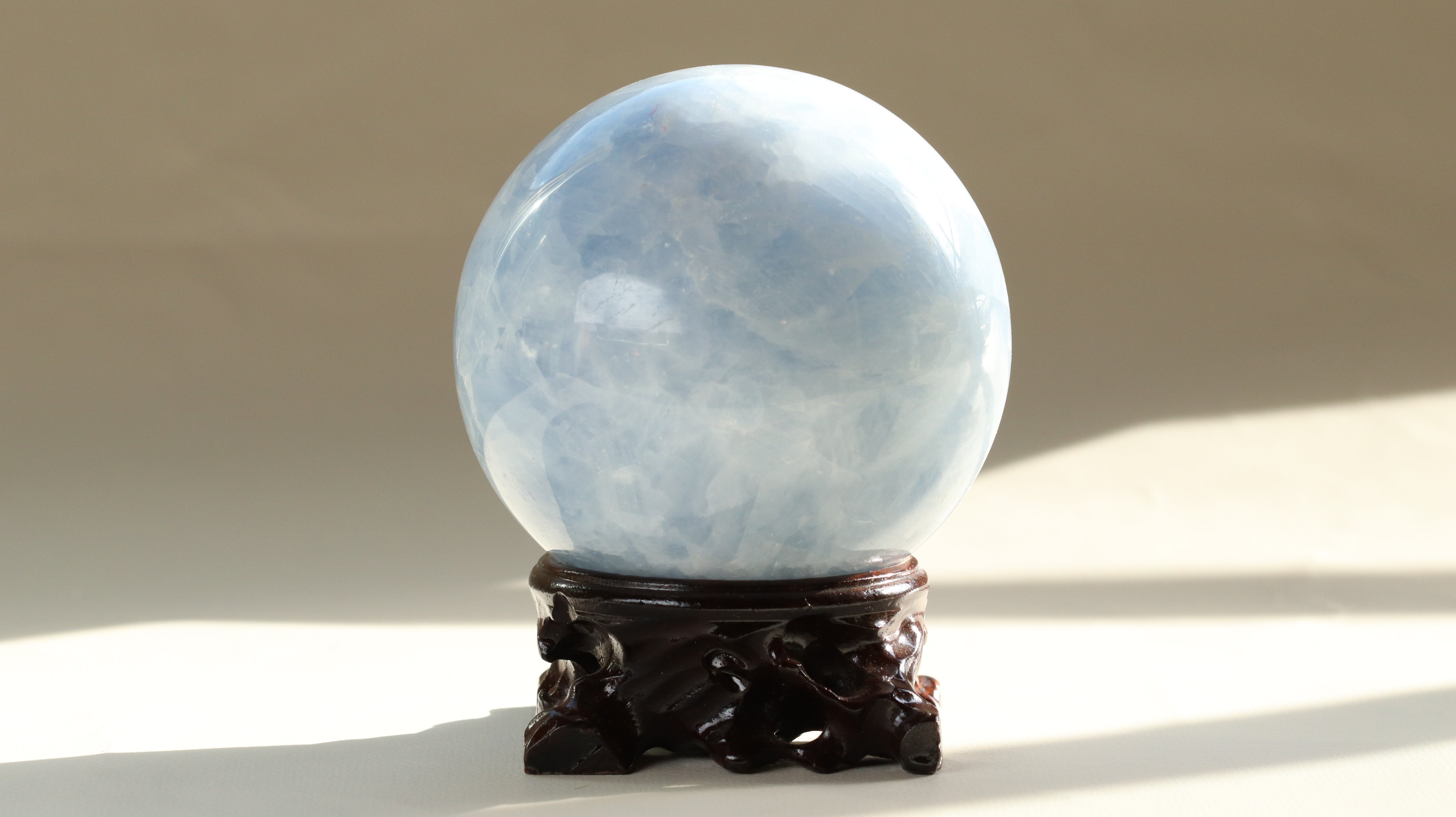 IMG_5181.jpg?v=1727592273&