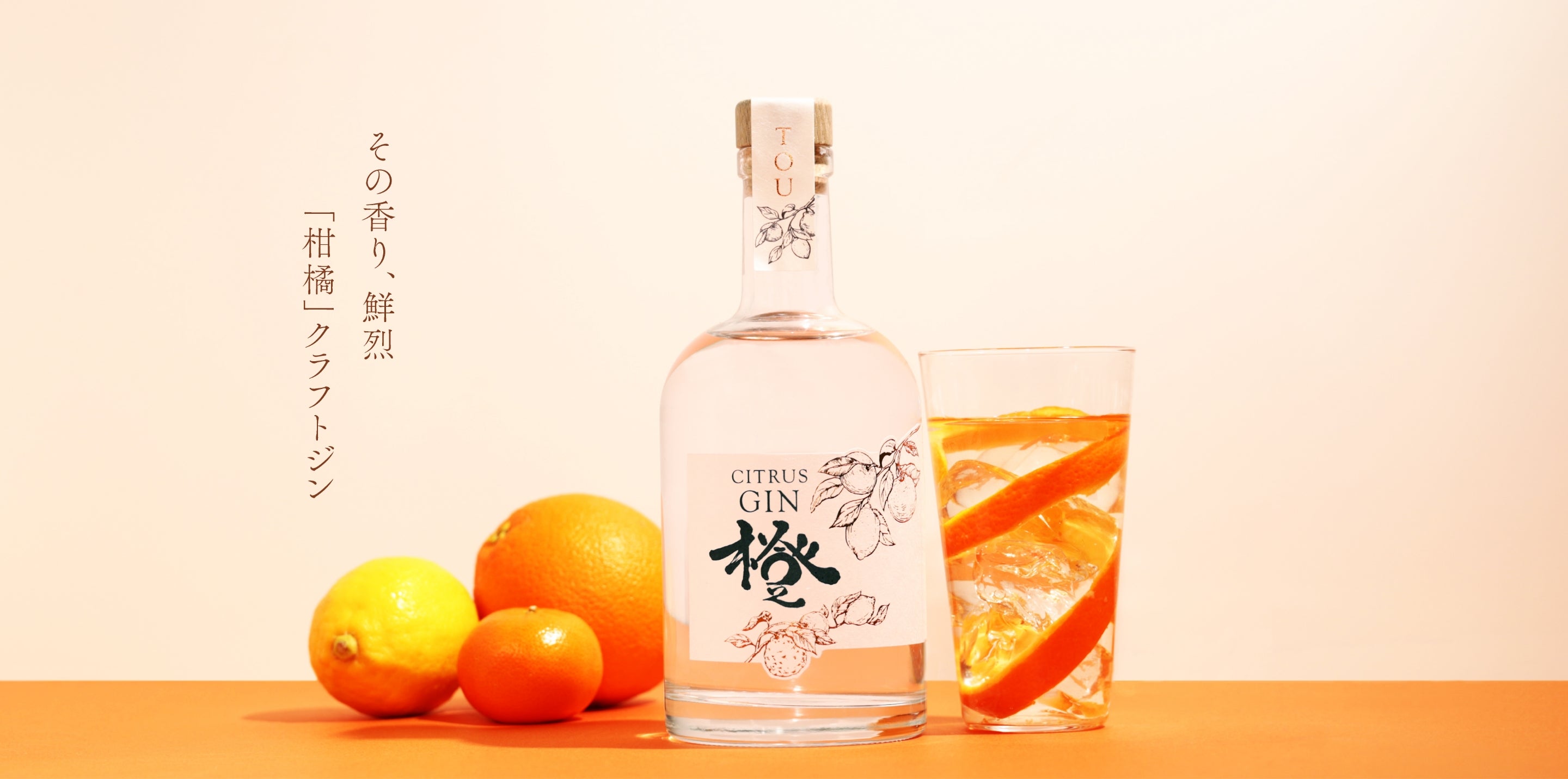 tou_catch_pc.jpg?v=1726795994&