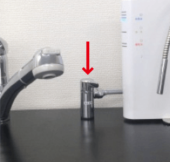 Puravia | グラント・イーワンズ LALA GRANT ｜lala makes happy