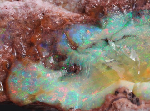 オパール precious opal 鉱物たちの庭