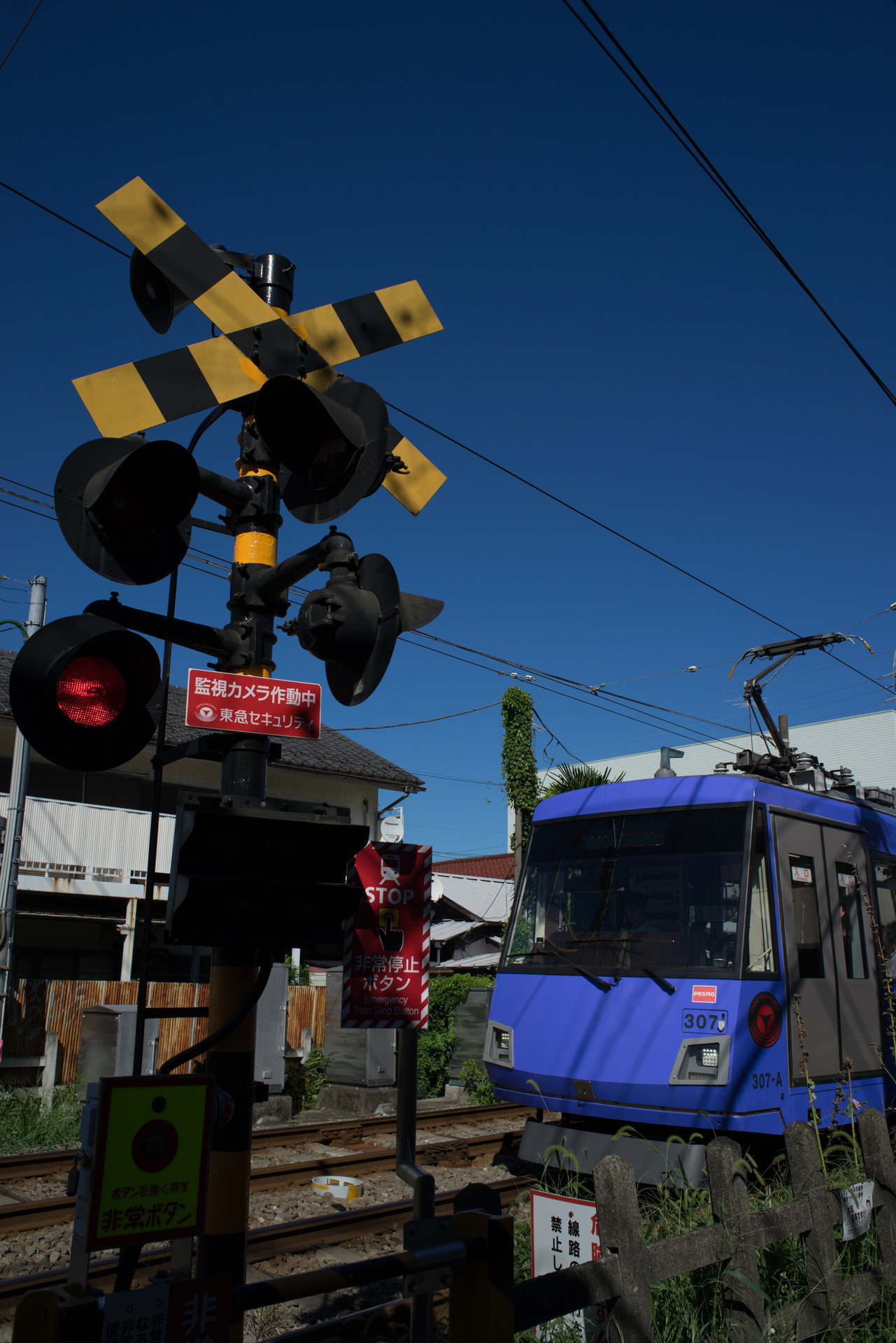 Yashica ML 28mm f2.8 (for Yashica Contax) の作例紹介 | Baryanの