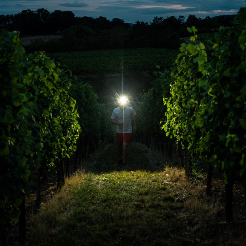 Ledlenser H7R Signature ｜ヘッドライト｜レッドレンザー公式通販