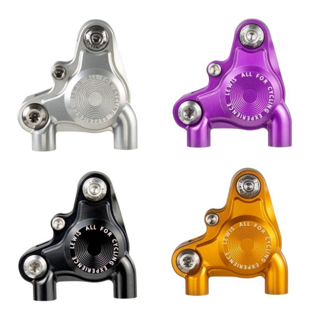 Lewis - BB2 SS Steel / BB2 Ti Road Gravel bike - flat mount