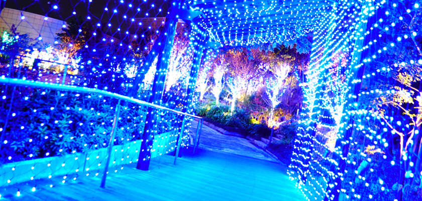 LEDイルミネーション販売 ネットライト（網状ライト）の商品一覧 - LED