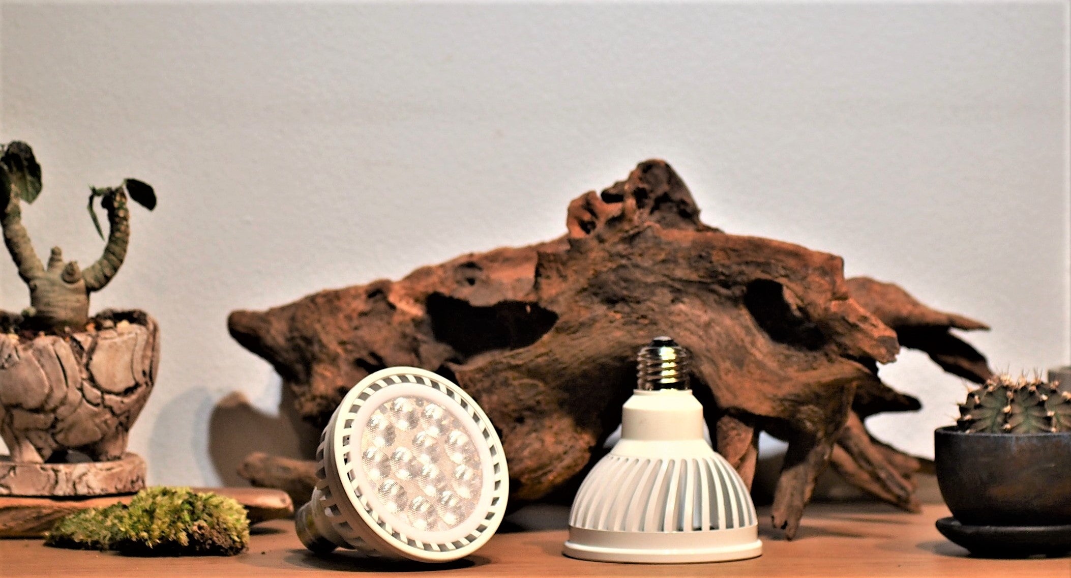 Plants NEXLIGHT -プランツネクスライト- GROW YOUR GREEN LED 白・黒