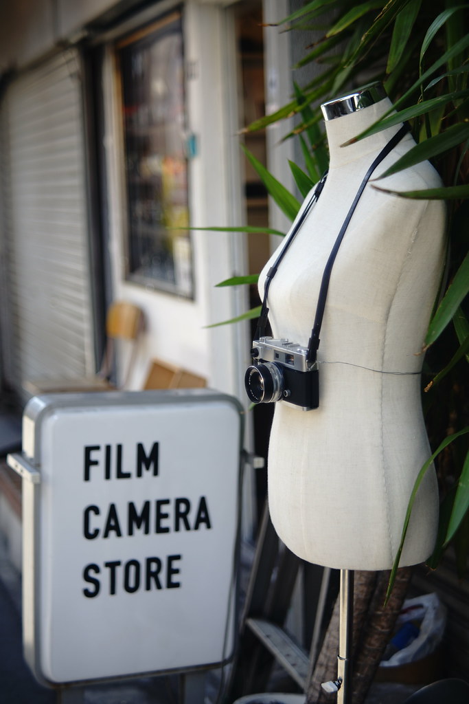 オールドレンズ】バブルボケをFUJINON 55mm F2.2で楽しむ【α7II