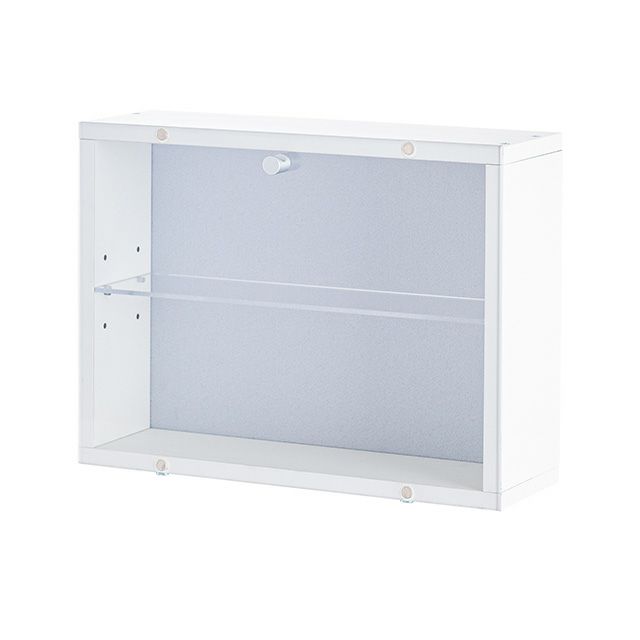 コレクションケース 幅40cm 壁掛け フィギュア収納 推し活 幅40×奥行13