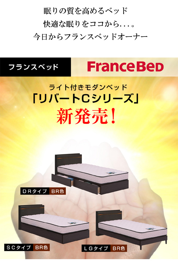 フランスベッド ベッド リバートCシリーズ LG タイプ ライト付きモダン
