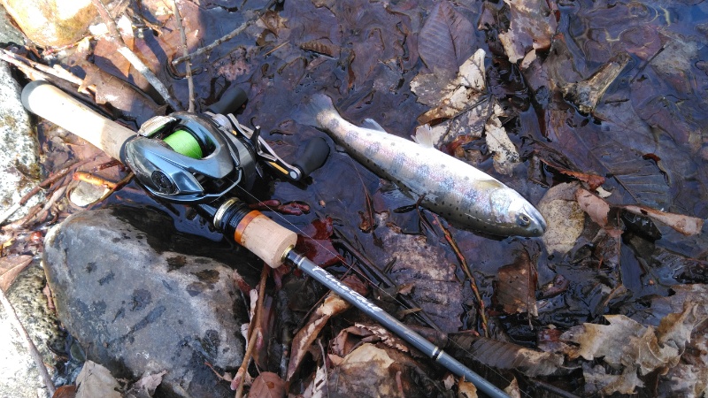 インプレ】シマノ 22アルデバランBFS【渓流ベイトはこれで決まり