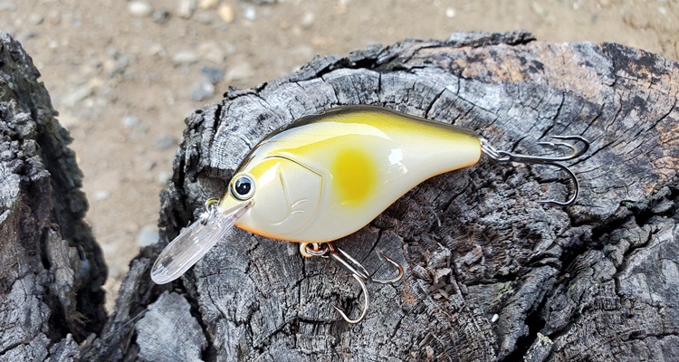 ノリーズ「マルノミフラット60」使用インプレッション。 – LureNote