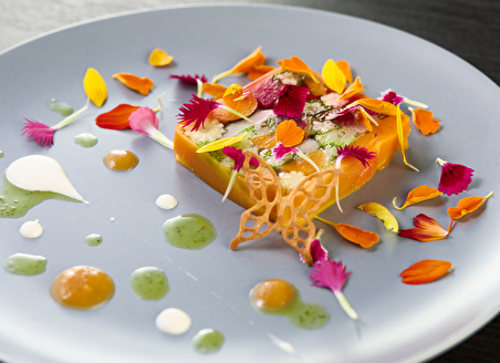 触れたくなる、華やかな色絵「蓮華～renge～」 │ ヒトサラマガジン