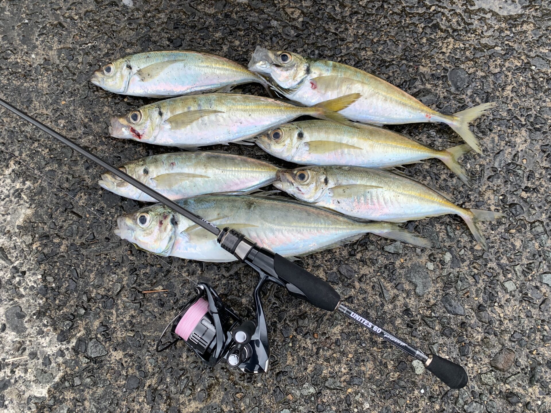 UNITES 60UL GAME MAKER | ソルトルアーブランド【MAGBITE】