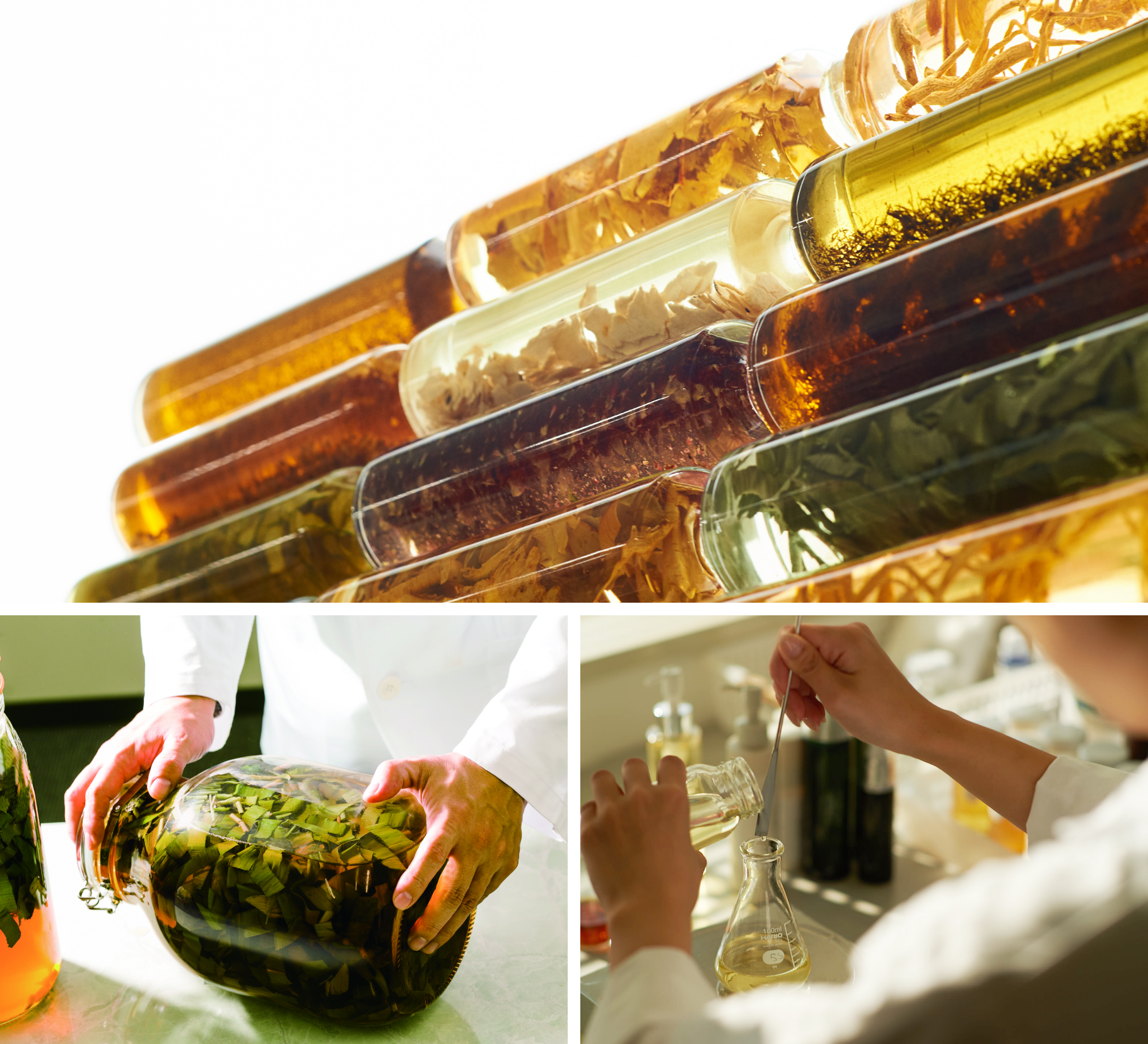 L'ORACLE - MAISON LEXIA メゾンレクシア 公式サイト ～ 化粧品 香水