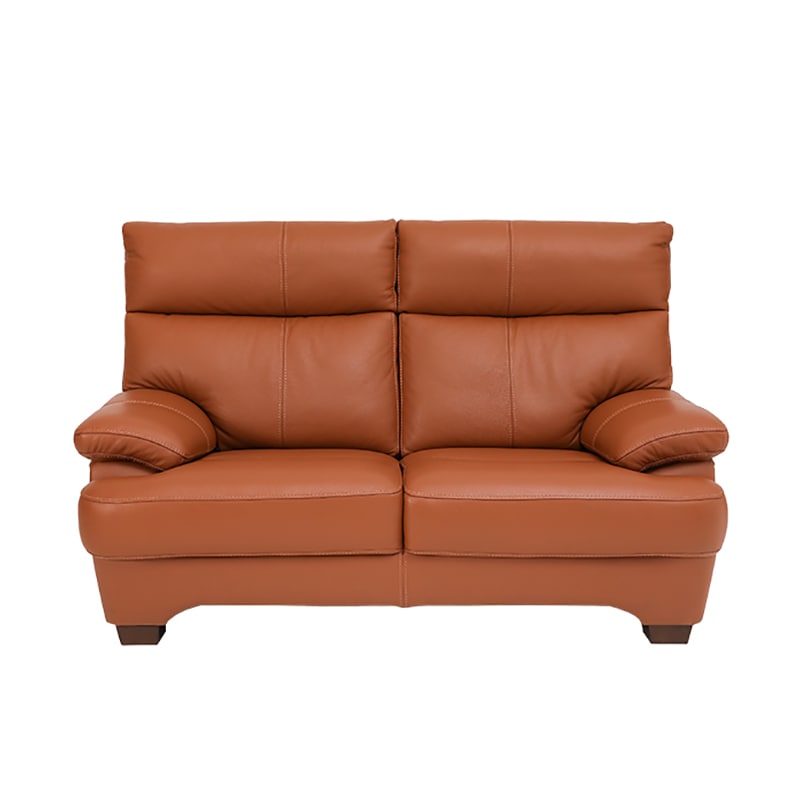 2人掛ソファ 本革使用 FIRENZE 2P B-M04【大型商品配送便でのお届け