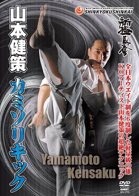 ♦︎新品DVD♦︎ 廃盤 新極新会 教則 其の三 空手 教則 必殺