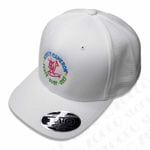 SCOTTY CAMERON スコッティキャメロン - アパレル,キャップ・バイザー