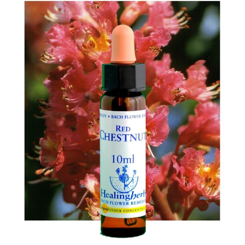 フラワーエッセンス 02 ミムラス [ヒーリングハーブス] | カリス成城